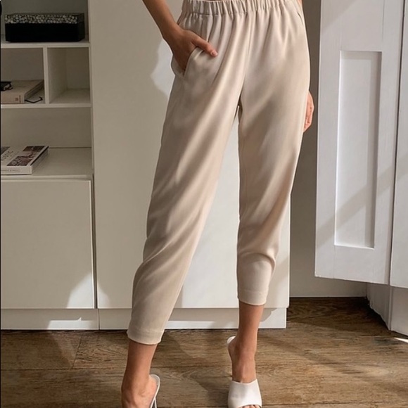 Babaton Pants - Aritzia Babaton Dexter Pant (NWOT)
